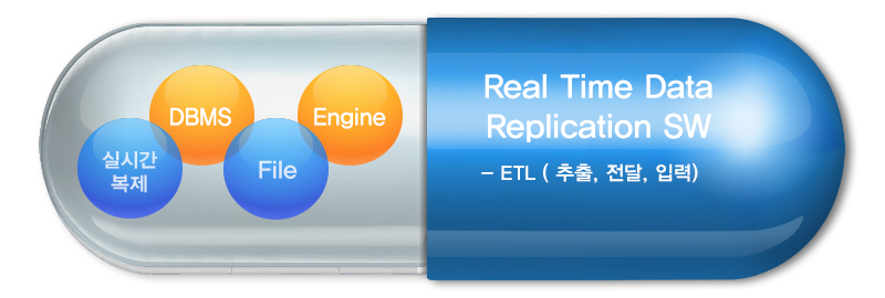Real Time Data Replication SW
