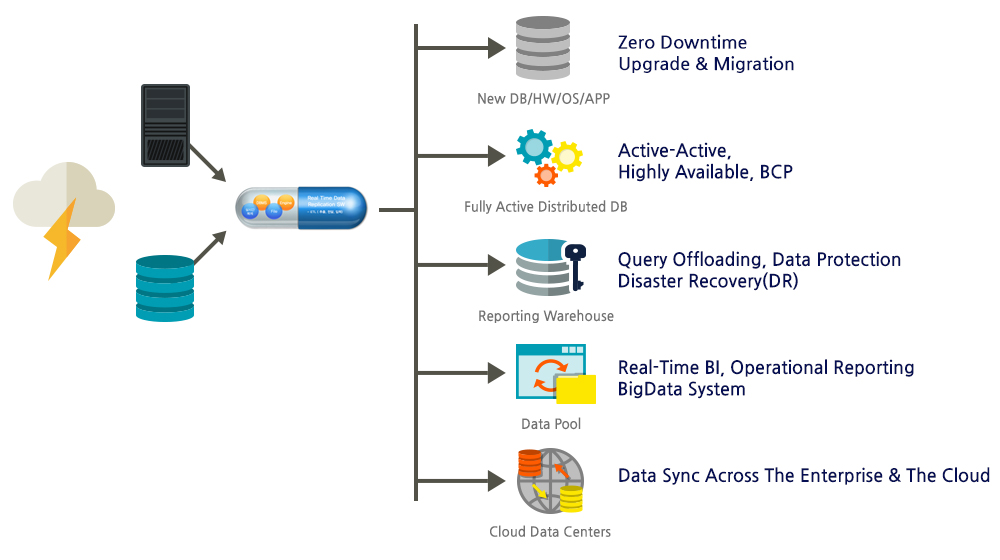 Real Time Data Replication SW